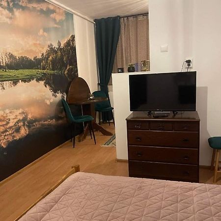 Cm Studio Apartment Sighisoara Luaran gambar