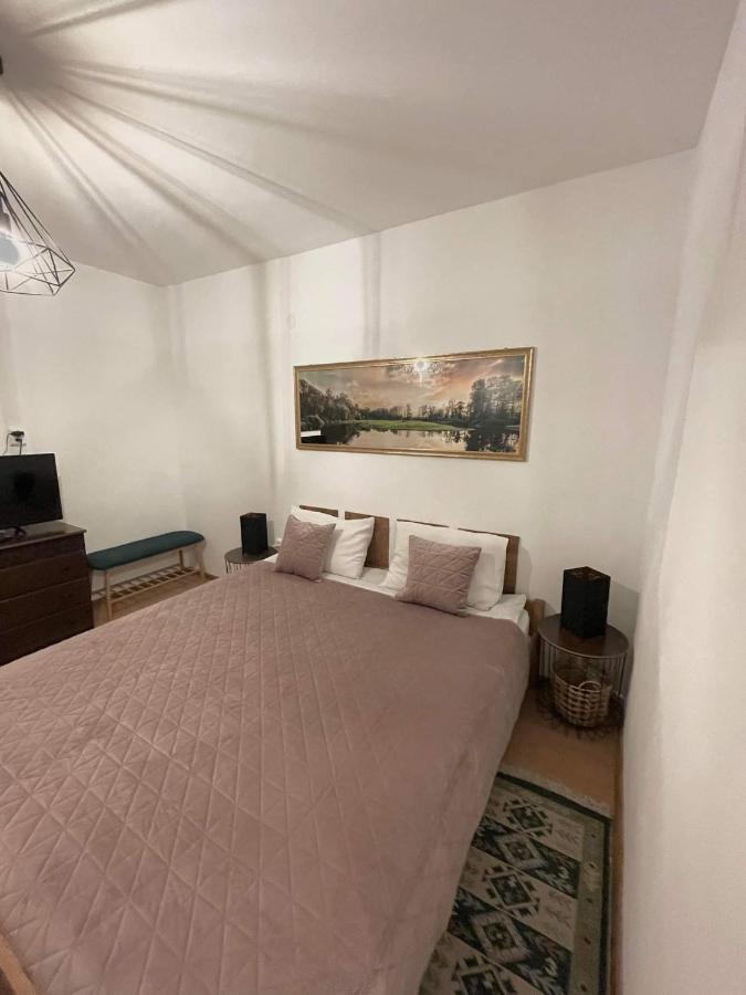 Cm Studio Apartment Sighisoara Luaran gambar