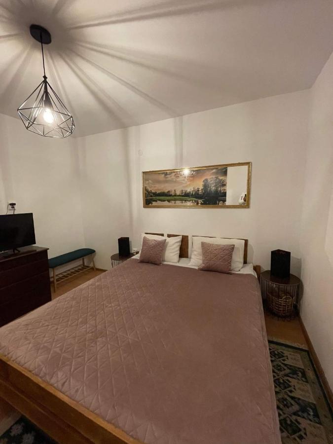 Cm Studio Apartment Sighisoara Luaran gambar