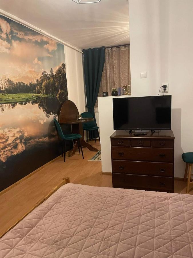 Cm Studio Apartment Sighisoara Luaran gambar