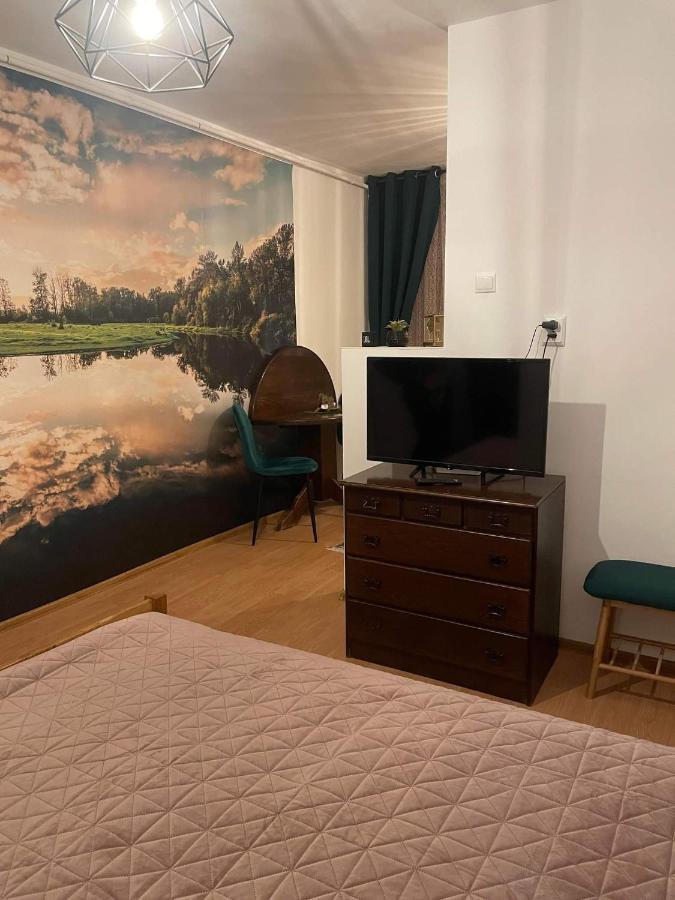 Cm Studio Apartment Sighisoara Luaran gambar